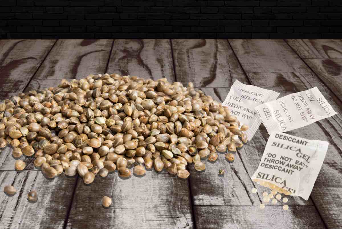How to store cannabis seeds