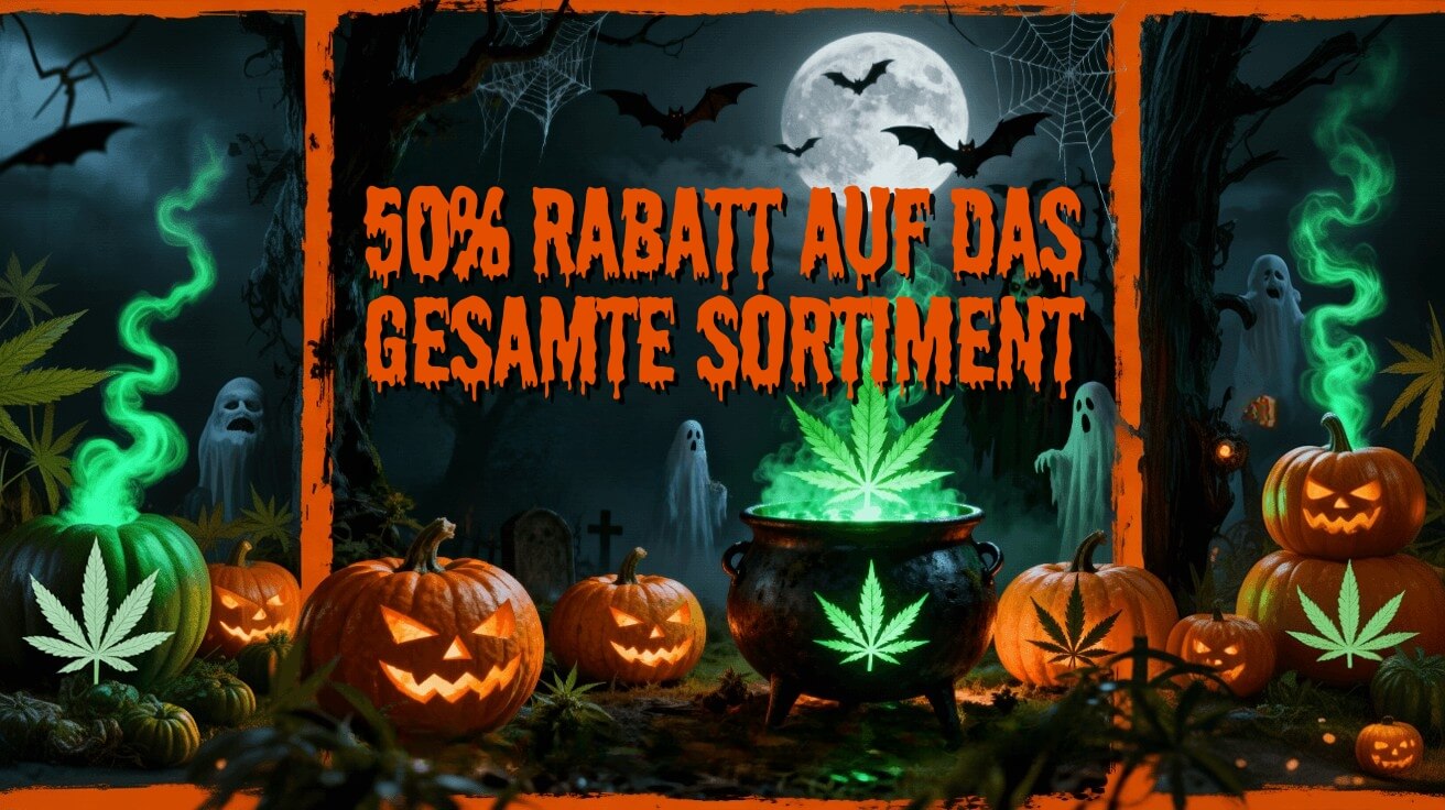 50% rabatt auf das gesamte sortiment