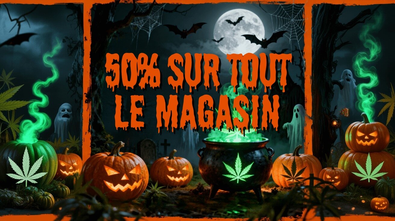 50% sur tout le magasin
