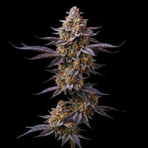 Strawberry Banana