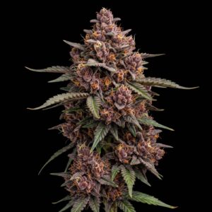 Lemon Cookies