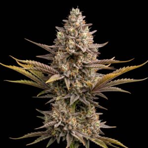 Strawberry Banana Auto